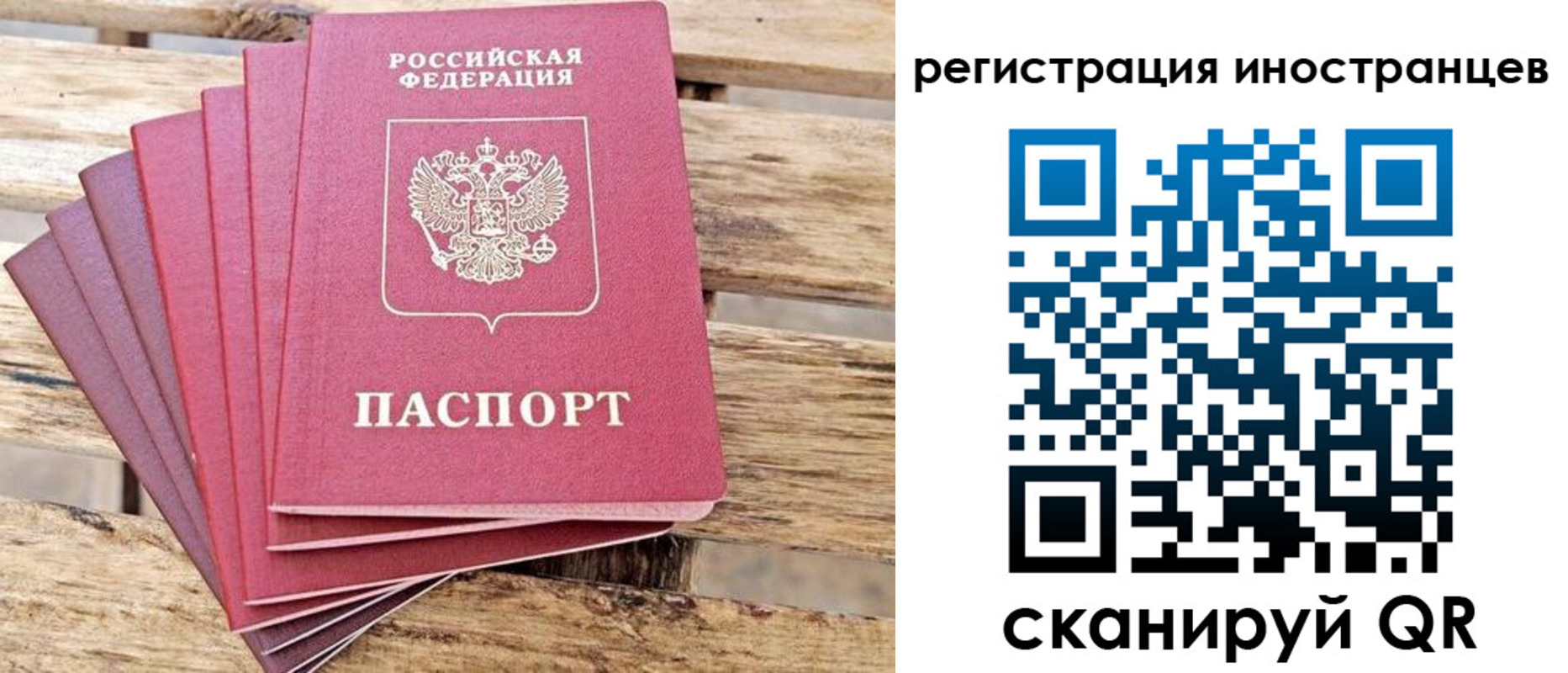 временная прописка в Кольчугино